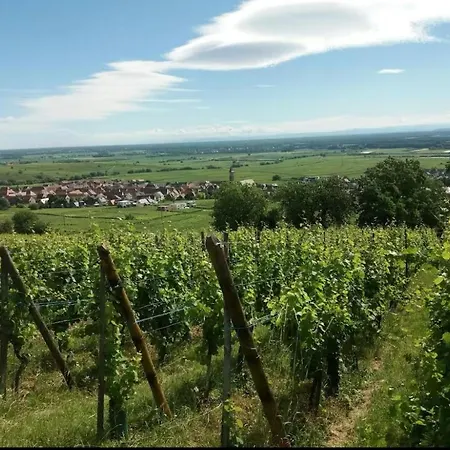 Apartment Gite, Belle Terrasse Vignoble Alsacien