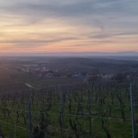 Gite, Belle Terrasse Vignoble Alsacien