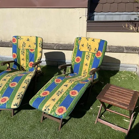 Gite, Belle Terrasse Vignoble Alsacien Apartment Bennwihr